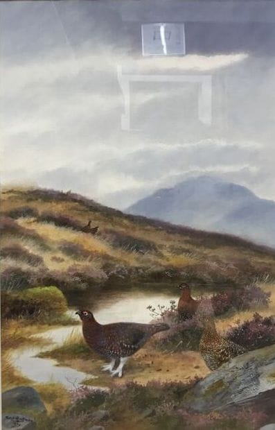 Grouses in a Scottish landscape
Watercolor...