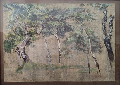 Modern school
Birch trees
Gouache on paper
Height...