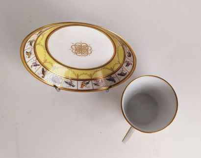 Collection of porcelain cups and saucers...