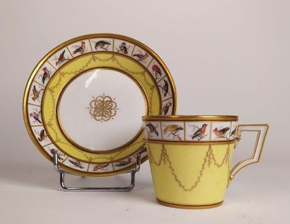 Collection of porcelain cups and saucers...