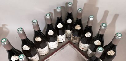 12 bouteilles CORTON CHARLEMAGNE Grand Cru...