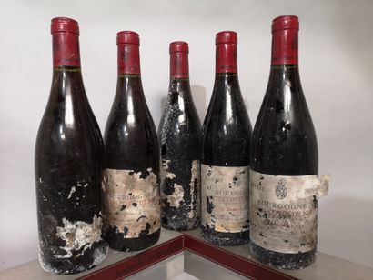 5 bottles HAUTES Côtes de NUITS 