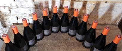 12 bottles Domaine du PAS de L'ESCALETTE...