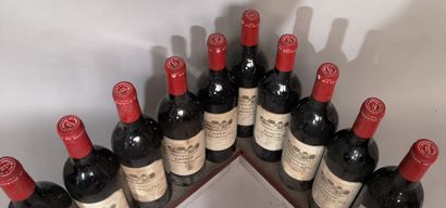 10 bouteilles Château LES ORMES de PEZ -...