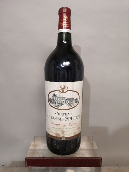 1 magnum Château CHASSE SPLEEN - Moulis en...