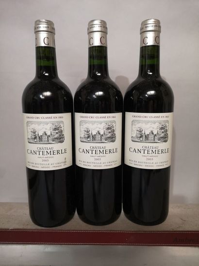 3 bottles Château CANTEMERLE - 5th Gcc Haut...