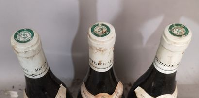 bottles CORTON Grand Cru 