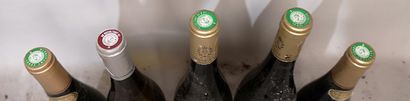 5 bottles VINS DIVERS LOIRE et DIVERS FOR...