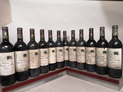 12 bottles Château PATACHE D'AUX - Médoc...