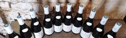 10 bouteilles CHAMBOLLE MUSIGNY 