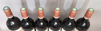6 bottles Château BEAU SITE - Saint Estèphe...