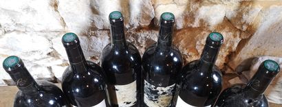 6 magnums Château de PITRAY 