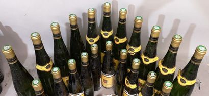 21 bottles (11 bottles and 10 half-bottles)...