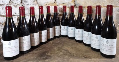 12 bottles HAUTES Côtes de NUITS 