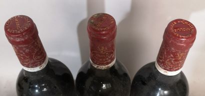 3 bottles Château CHASSE SPLEEN - Moulis...