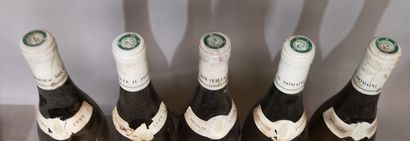 5 bouteilles MEURSAULT 1er cru 