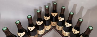 10 bouteilles LADOIX Blanc - Domaine CHEVALIER...