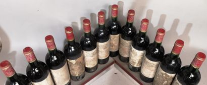 12 bottles Château CALON SEGUR - 3ème Gcc...