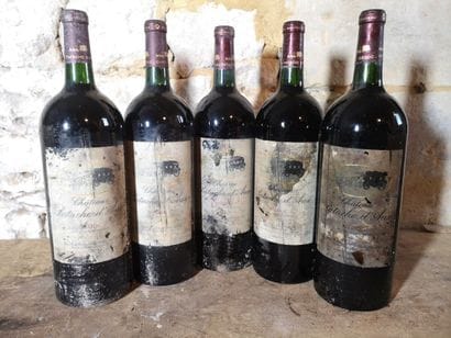 5 magnums Château PATACHE D'AUX - Médoc 2000...