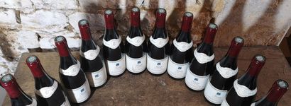 12 bottles FIXIN 