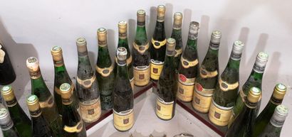 21 bottles ALSACE HUGEL GEWURZTRAMINER DIVERS...