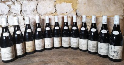 12 bouteilles BEAUNE 
