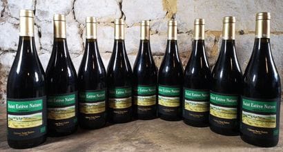 9 bottles Château SAINT ESTEVE 