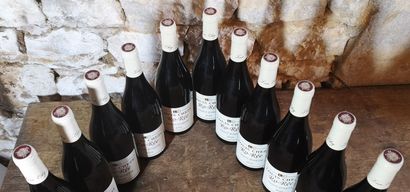 11 bottles SAINT JOSEPH 