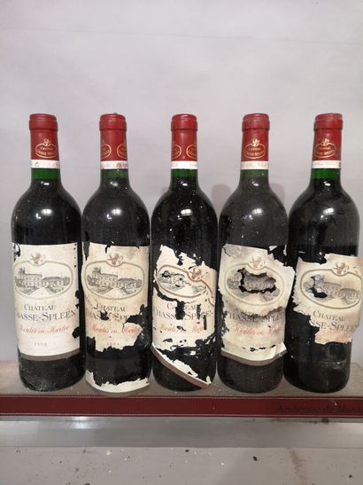 5 bottles Château CHASSE SPLEEN - Moulis...