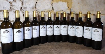 12 bottles Château D'ARDENNES White - Graves...