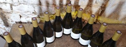 10 bottles Domaine du PAS de L'ESCALETTE...