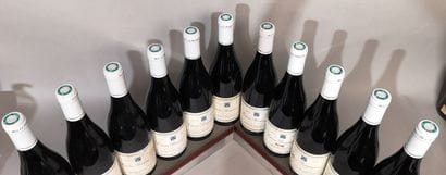 11 bouteilles COTEAUX BOURGUIGNONS - P. GELIN...
