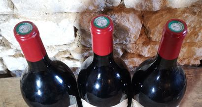 3 magnums Château D'ARDENNES - Graves 2005...