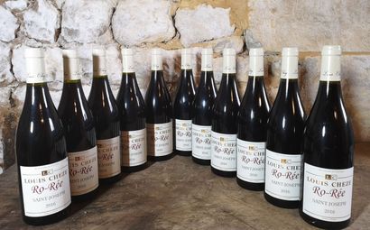 11 bottles SAINT JOSEPH 