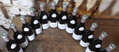 12 bouteilles PERNAND VERGELESSES 1er cru...
