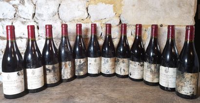 12 bottles HAUTES Côtes de NUITS 