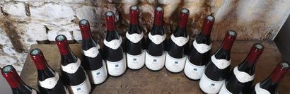 12 bottles FIXIN 