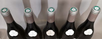 5 bouteilles PERNAND VERGELESSES Blanc 1er...