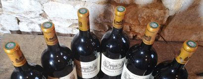 6 magnums Château OLIVIER - Pessac Léognan...