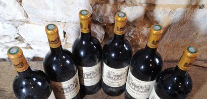 6 magnums Château OLIVIER - Pessac Léognan...