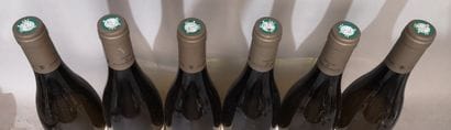 6 bouteilles PULIGNY MONTRACHET - CHÂTEAU...