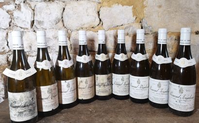 9 bottles PERNAND VERGELESSES 1er cru 