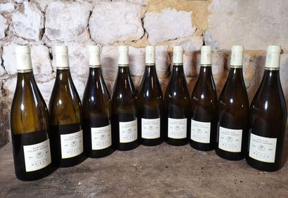 9 bouteilles RULLY 1er cru 