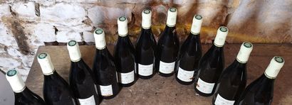 11 bouteilles RULLY 1er cru 