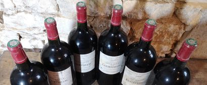 6 magnums Domaine de COURTEILLAC - Bordeaux...