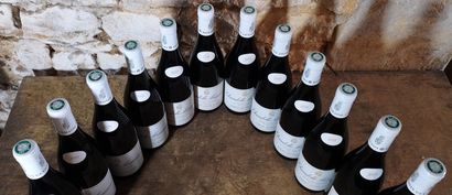 12 bouteilles CHAMBOLLE MUSIGNY 