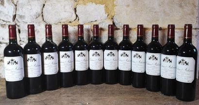 12 bottles Château D'ARDENNES - Graves 2...
