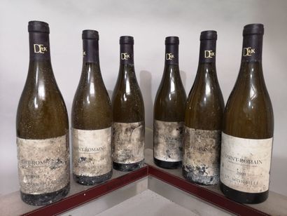 6 bouteilles SAINT ROMAIN Blanc - DEux MONTILLE...