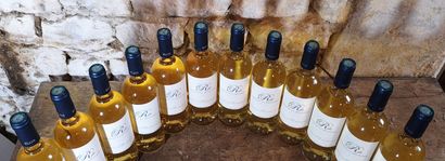 12 bottles 