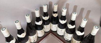 10 bottles CORTON Grand Cru 